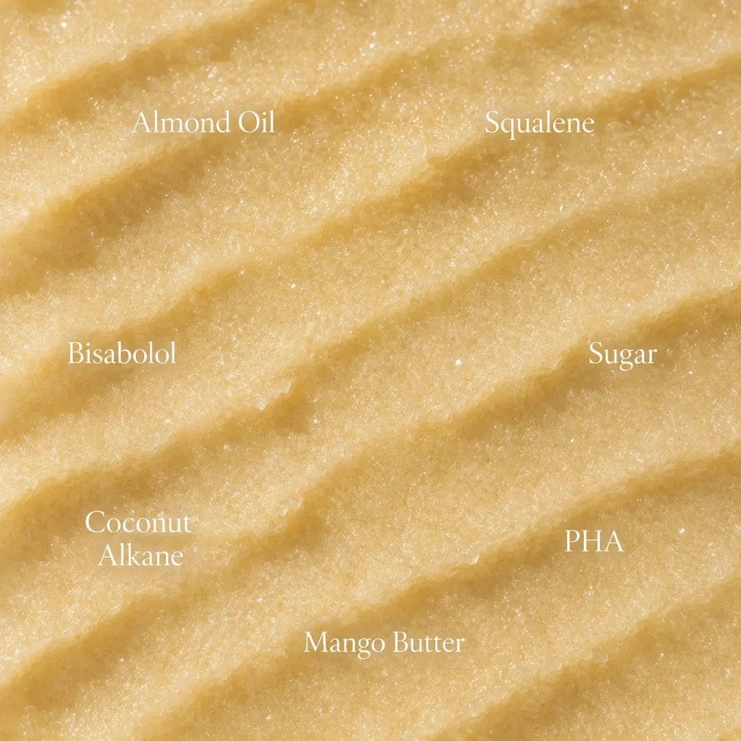 Coconut Vanilla Body Wash + Sugar Polish Body Scrub