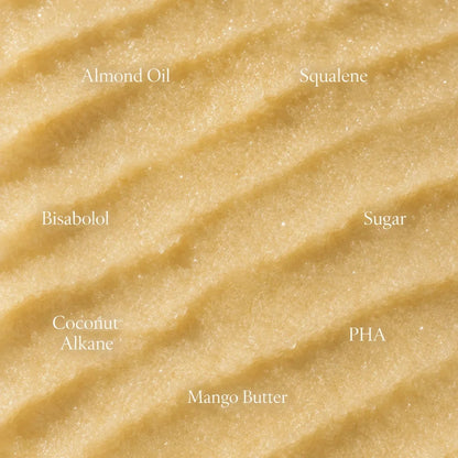 Coconut Vanilla Body Wash + Sugar Polish Body Scrub